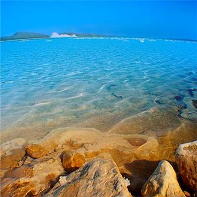 金年会体育下载app