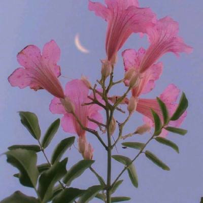 beat365手机版官方网站app下载