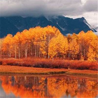 澳门捕鱼平台网页游戏在线app官方入口