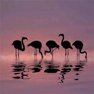 雷竞技app官方版下载