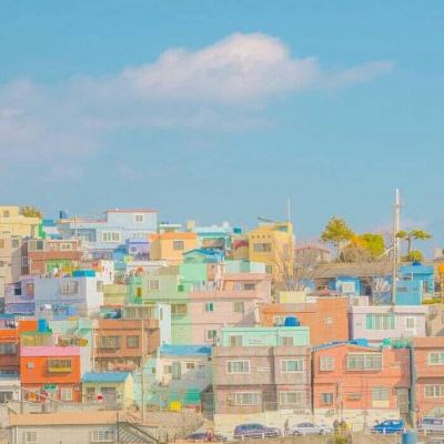 BSport·APP在线登录下载手机版